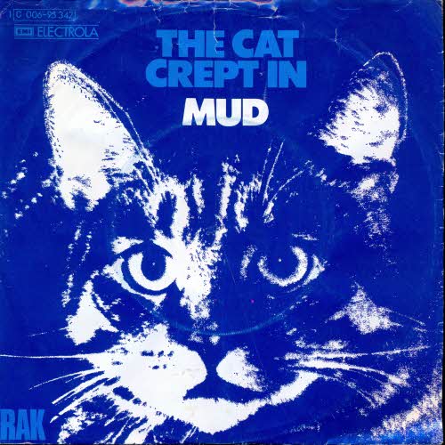 Mud - The cat crept in