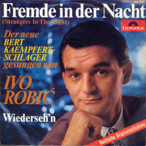 Robic Ivo - Fremde in der Nacht