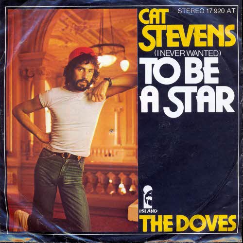 Stevens Cat - To be a star