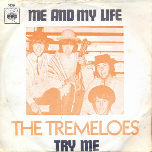 Tremeloes - Me and my life (NL)