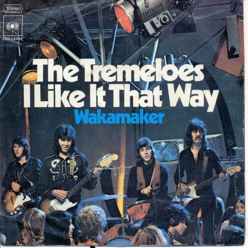 Tremeloes - I like it that way (NL)