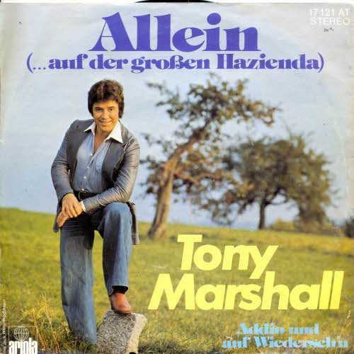 Marshall Tony - Allein (nur Cover)