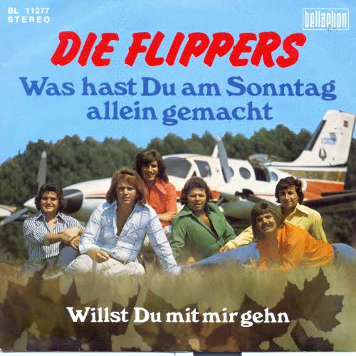 Flippers - Was hast du am Sonntag allein gemacht (nur Cover)
