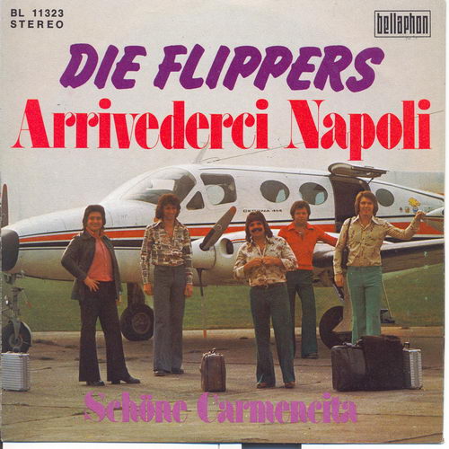 Flippers - Arriverderci Napoli (nur Cover)