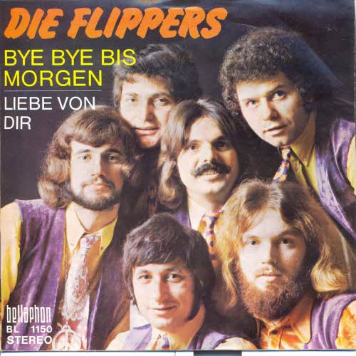 Flippers - Bye bye bis morgen (nur Cover)