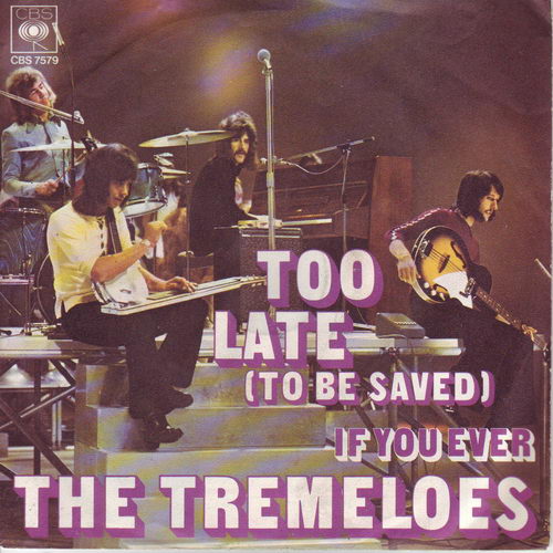 Tremeloes - Too late (to be saved)