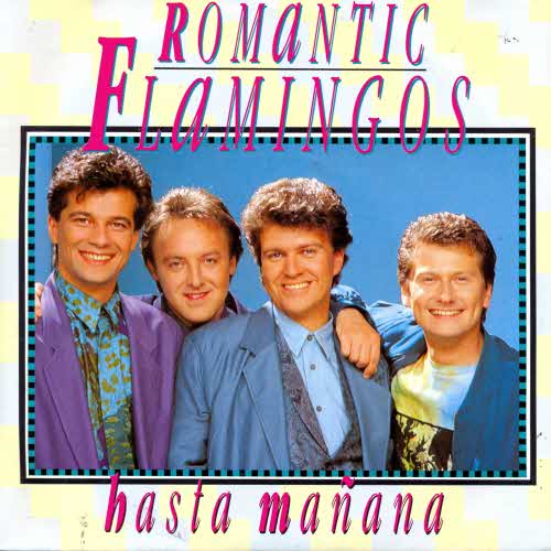 Romantic Flamingos - #Hasta manana