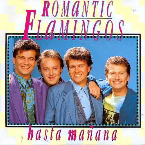 Romantic Flamingos - Hasta manana