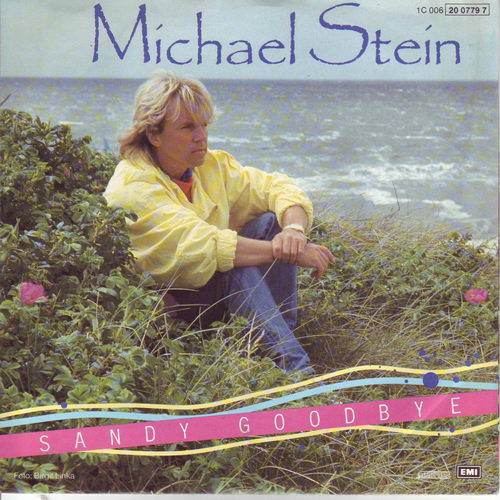Stein Michael - Sandy goodbye (nur Cover)