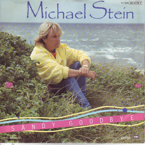 Stein Michael - Sandy goodbye