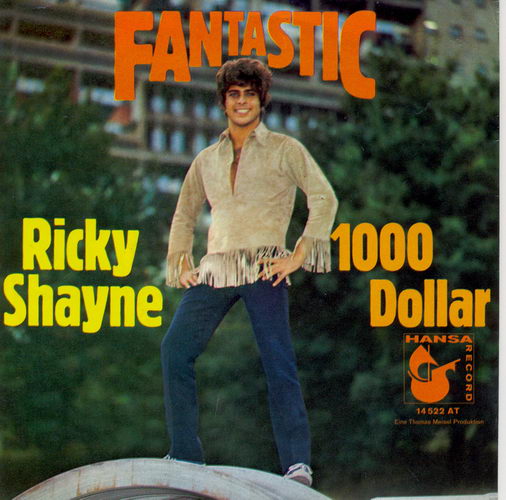 Shayne Ricky - Fantastic (nur Cover)