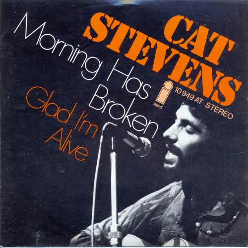 Stevens Cat - Morning has broken