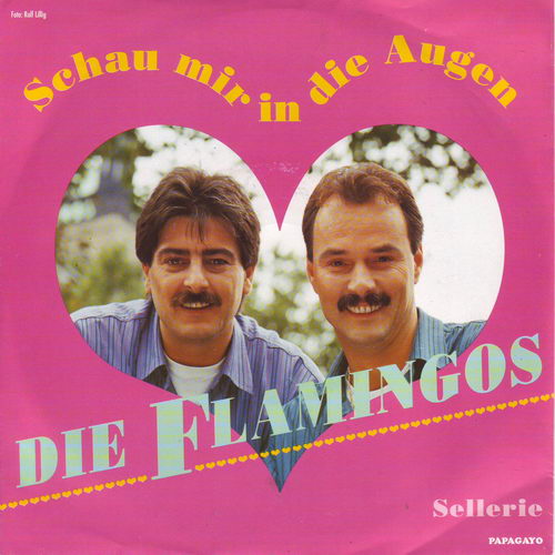 Flamingos - Schau mir in die Augen