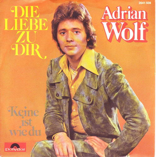 Wolf Adrian - Die Liebe zu dir (nur Cover)