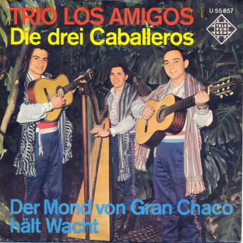 Trio Los Amigos - Die drei Caballeros (nur Cover)